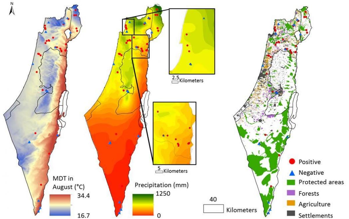 karta över israel klimat